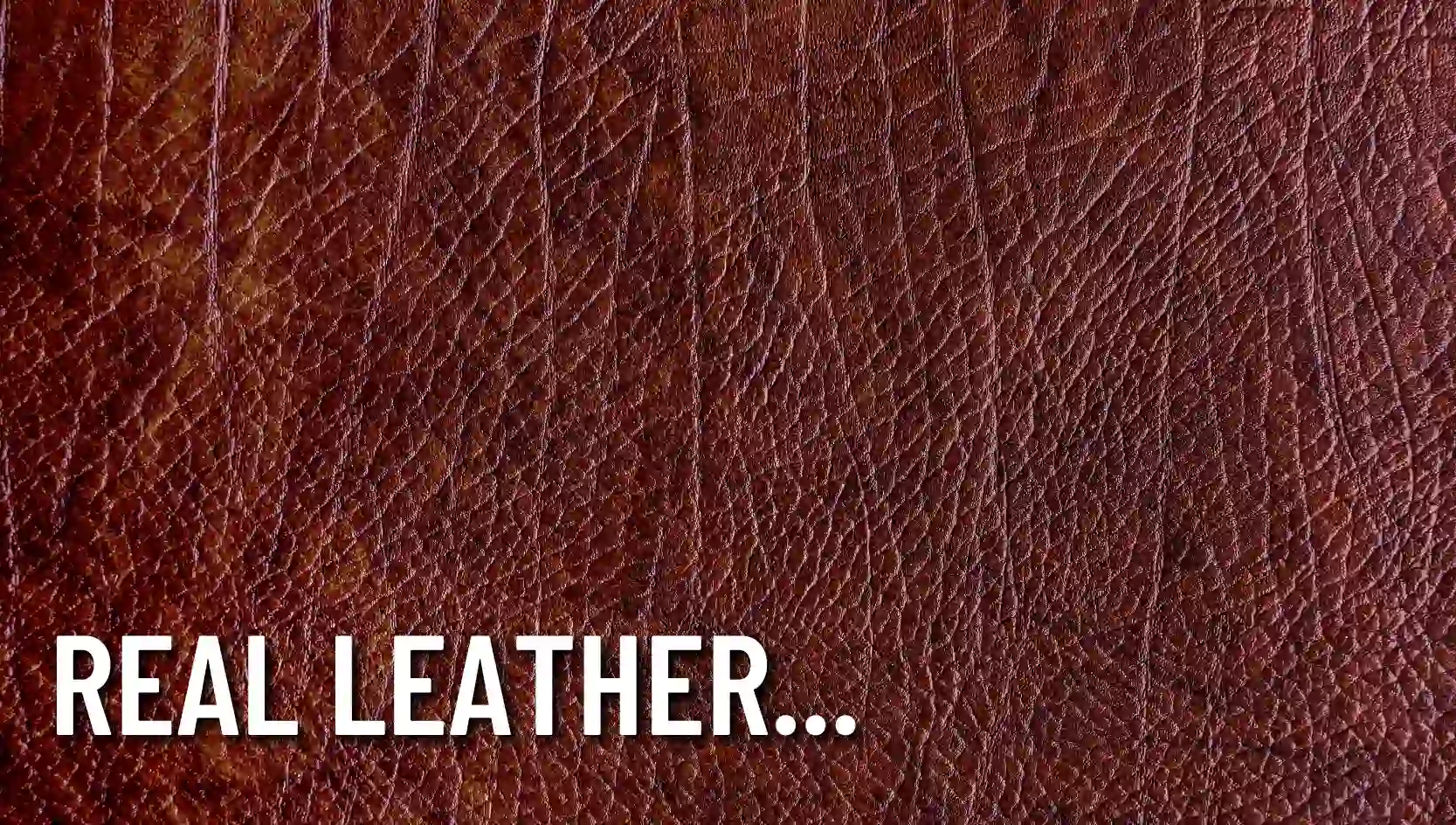 real-leather.webp