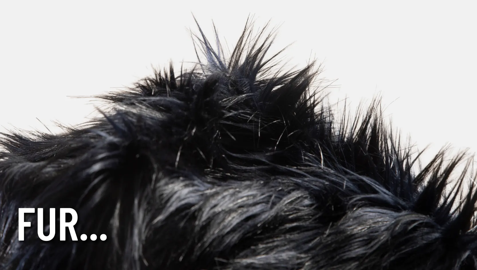 fur.webp